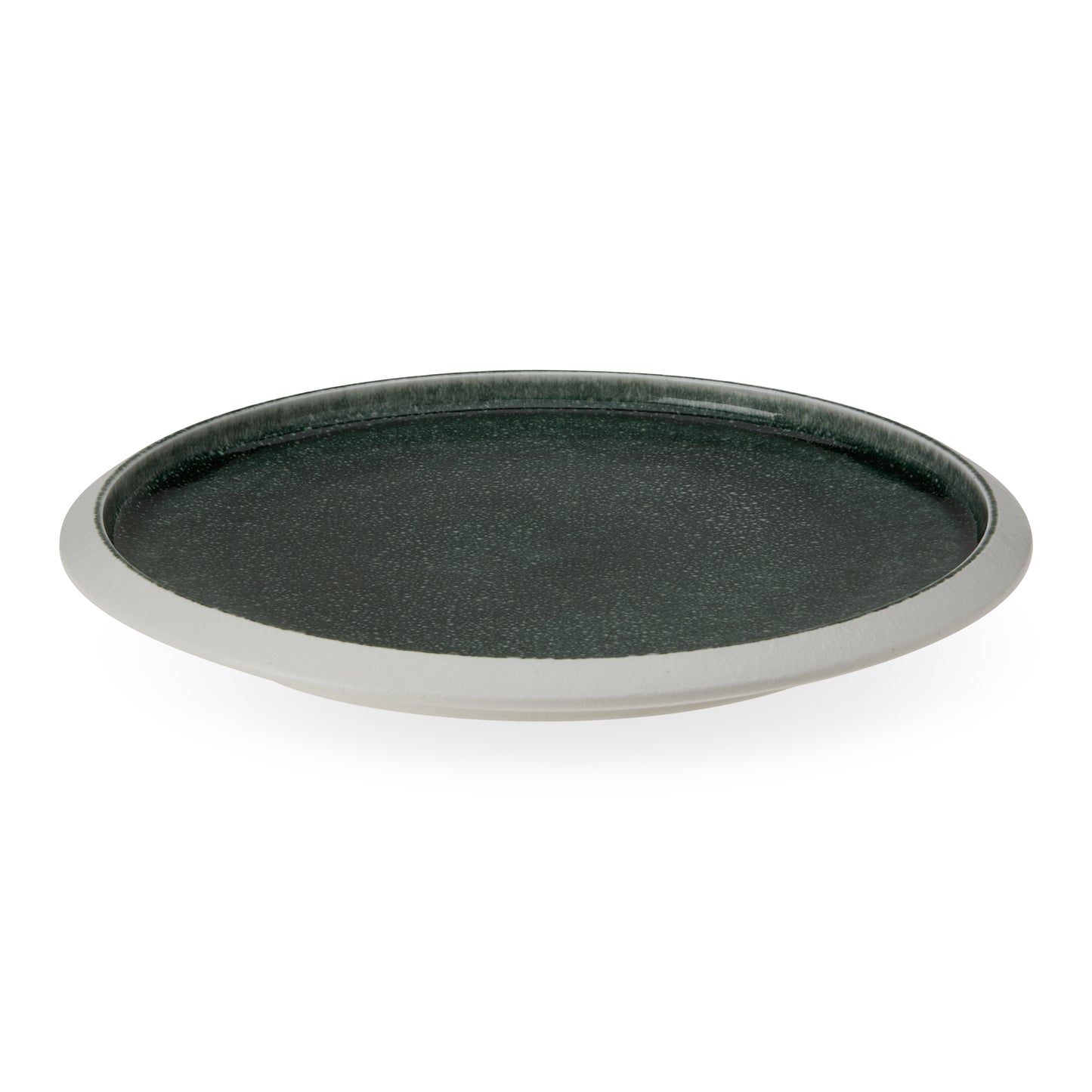 4 Piece Nourish Dinner Plates Set