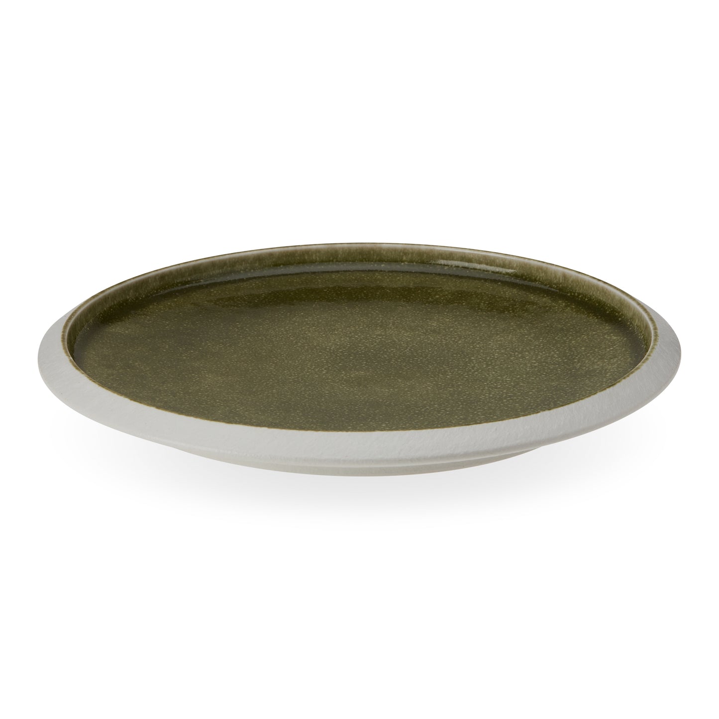 4 Piece Nourish Dinner Plates Set