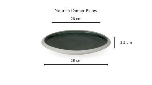 Nourish porcelain dinner plates set of 4
